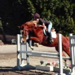 Meet your Posher, Dylan